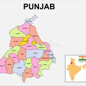 ALL Punjab State Database